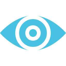 Vision